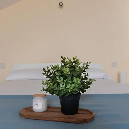 Duplex En Con Garaje